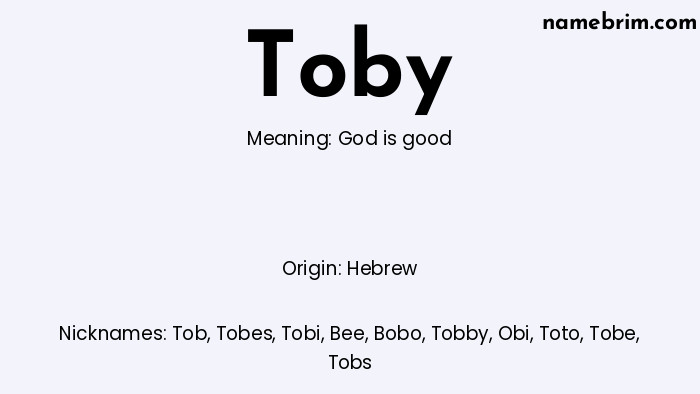 Infographic of Toby name meaning, which is a name of Hebrew origin, Toby means God is good, and Tob is a nickname for Toby.