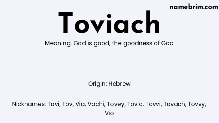 Infographic of Toviach name meaning, which is a name of Hebrew origin, Toviach means God is good, and Tovi is a nickname for Toviach.