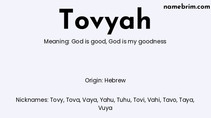 Infographic of Tovyah name meaning, which is a name of Hebrew origin, Tovyah means God is good, and Tovy is a nickname for Tovyah.