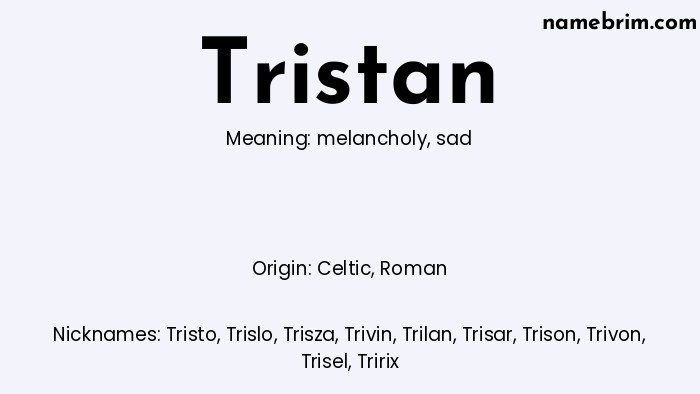 Tristan, a name of Celtic origin, means 'sad.' A common nickname for Tristan is Tristo.