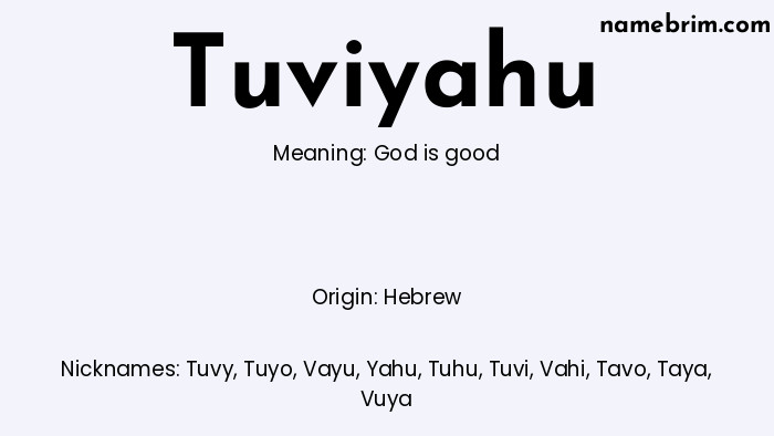 Infographic of Tuviyahu name meaning, which is a name of Hebrew origin, Tuviyahu means God is good, and Tuvy is a nickname for Tuviyahu.