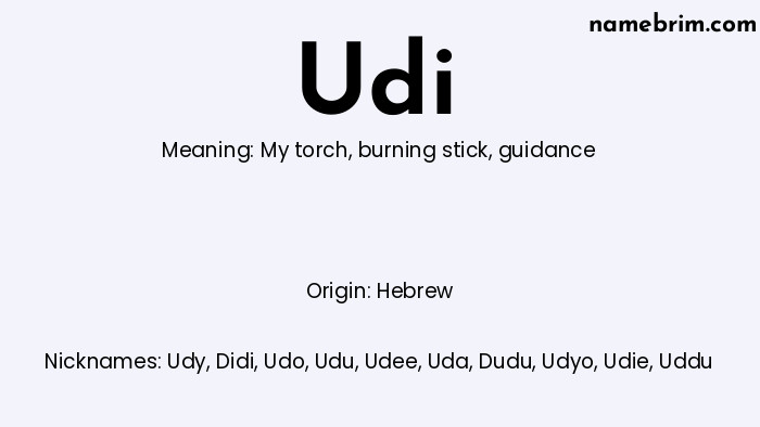 Infographic of Udi name meaning, which is a name of Hebrew origin, Udi means my torch, and Udy is a nickname for Udi.