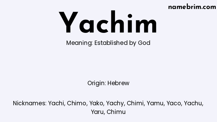 Infographic of Yachim name meaning, which is a name of Hebrew origin, Yachim means established by God, and Yachi is a nickname for Yachim.