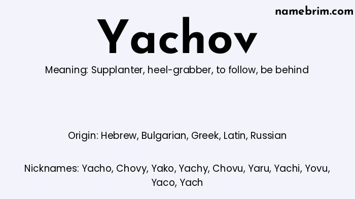 Infographic of Yachov name meaning, which is a name of Hebrew origin, Yachov means supplanter, and Yacho is a nickname for Yachov.