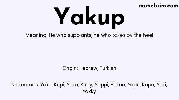 Infographic of Yakup name meaning, which is a name of Hebrew origin, Yakup means he who supplants, and Yaku is a nickname for Yakup.