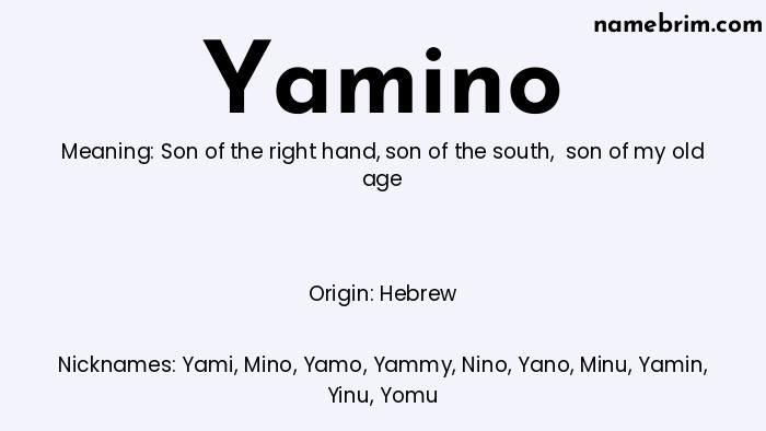 Infographic of Yamino name meaning, which is a name of Hebrew origin, Yamino means son of the right hand, and Yami is a nickname for Yamino.