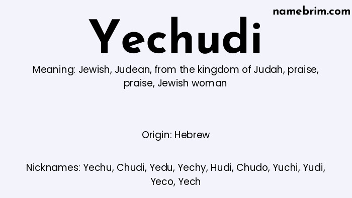 Infographic of Yechudi name meaning, which is a name of Hebrew origin, Yechudi means Jewish, and Yechu is a nickname for Yechudi.