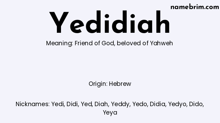 Infographic of Yedidiah name meaning, which is a name of Hebrew origin, Yedidiah means friend of God, and Yedi is a nickname for Yedidiah.