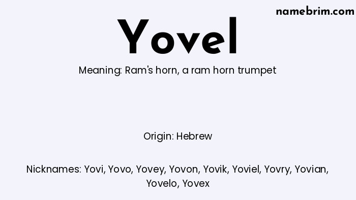 Infographic of Yovel name meaning, which is a name of Hebrew origin, Yovel means ram's horn, and Yovi is a nickname for Yovel.