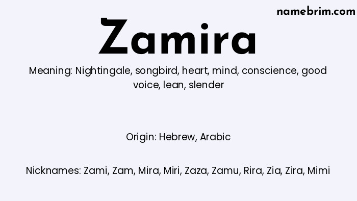 Infographic of Zamira name meaning, which is a name of Hebrew origin, Zamira means nightingale, and Zami is a nickname for Zamira.