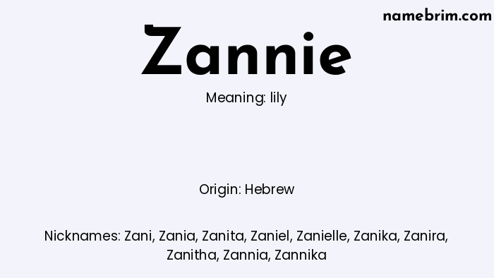 Zannie, a name of Hebrew origin, means 'lily.' A common nickname for Zannie is Zani.