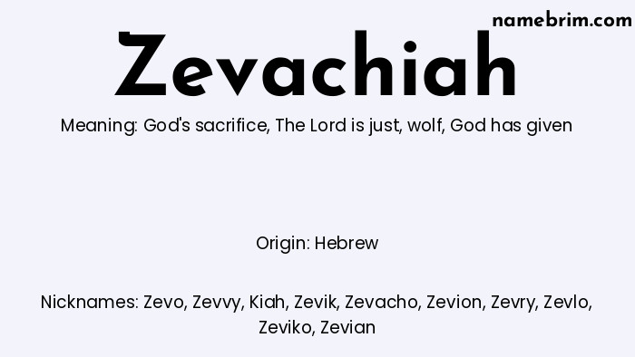 Infographic of Zevachiah name meaning, which is a name of Hebrew origin, Zevachiah means God's sacrifice, and Zevo is a nickname for Zevachiah.