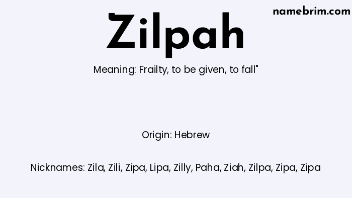 Infographic of Zilpah name meaning, which is a name of Hebrew origin, Zilpah means frailty, and Zila is a nickname for Zilpah.